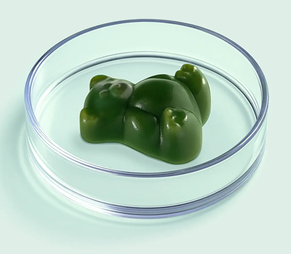 Grüns gummy in a petri dish
